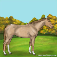 Horse Color:Red Roan Tobiano 