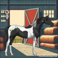 Horse Color:Liver Chestnut Tobiano 