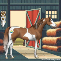 Horse Color:Chestnut Splash Tobiano 