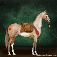 Horse Color:Gray Gold Champagne 