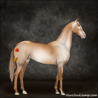 Horse Color:Gray Gold Champagne 