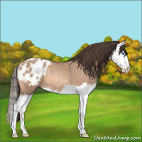 Horse Color:Amber Champagne Splash Blanket