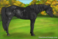 Horse Color:Void Blue Roan 