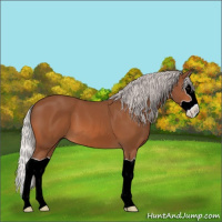Horse Color:Silver Bay Splash 