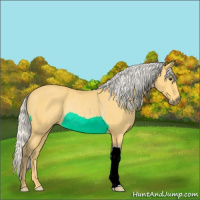 Horse Color:Silver Buckskin Rabicano 