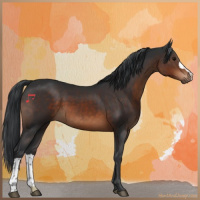 Horse Color:Brown 