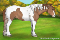 Horse Color:Chestnut Tobiano 