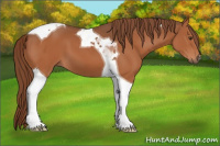 Horse Color:Chestnut Tobiano 