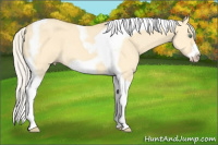 Horse Color:Silver Amber Cream Champagne Dun Tobiano Frame 