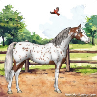 Horse Color:Silver Brown Sabino Splash Appaloosa 