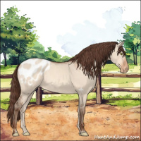 Horse Color:Sable Champagne Dun Varnish 