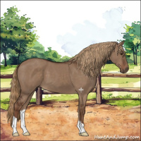Horse Color:Liver Red Dun 