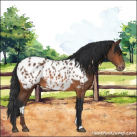 Horse Color:Bay Near Leopard 