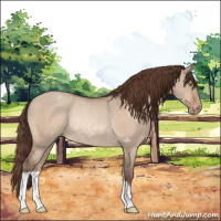 Horse Color:Sable Champagne Dun Varnish Rabicano 