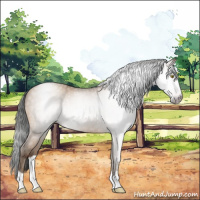 Horse Color:Gray Amber Champagne Rabicano