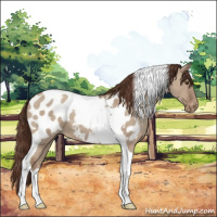 Horse Color:Classic Champagne Dun Tobiano Blanket 