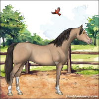 Horse Color:Amber Champagne Rabicano 