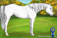 Horse Color:Gray Black Splash Tobiano