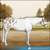 Horse Color:Liver Red Dun Mushroom Varnish Brindle 