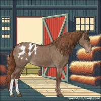 Horse Color:Liver Red Dun Appaloosa Brindle 