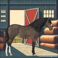 Horse Color:Brown Dun Appaloosa Brindle 