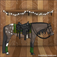 Horse Color:Brown Dun Blanket Brindle
