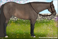 Horse Color:Brown Dun Varnish Brindle