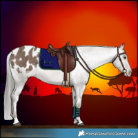 Horse Color:Liver Red Dun Mushroom Appaloosa Brindle 