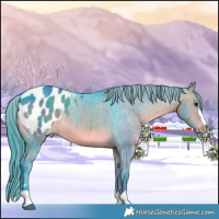 Horse Color:Watercolor Brown Dun Appaloosa Brindle 