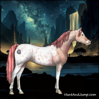 Horse Color:Painted Silver Bay Dun Tobiano Appaloosa 