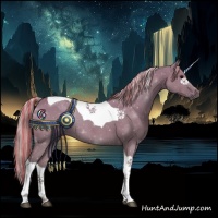 Horse Color:Painted Silver Grullo Tobiano 