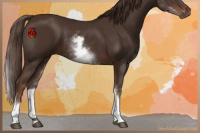 Horse Color:White Spotted Liver Chestnut Tobiano 