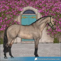 Horse Color:Bay Dun Brindle 