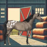 Horse Color:Brown Dun Appaloosa Brindle 