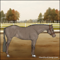 Horse Color:Liver Red Dun Mushroom Varnish Brindle 