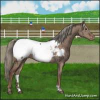 Horse Color:Liver Red Dun Mushroom Near Fewspot Brindle 
