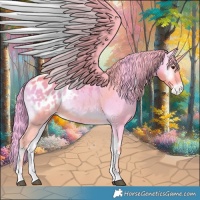 Horse Color:Watercolor Red Onyx Appaloosa