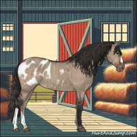 Horse Color:Bay Dun Appaloosa Brindle 