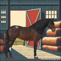 Horse Color:Brown Appaloosa 