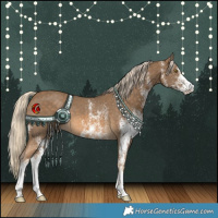 Horse Color:White Spotted Chocolate Palomino Rabicano 