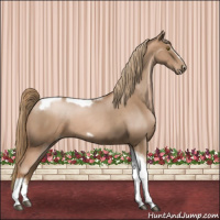 Horse Color:Liver Red Roan Pearl Tobiano Frame