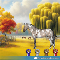 Horse Color:White Spotted Brown Dun 