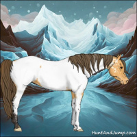 Horse Color:Buckskin Appaloosa 