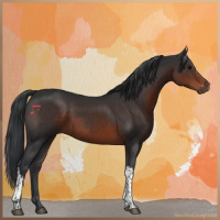 Horse Color:Brown 