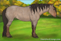 Horse Color:Liver Red Dun Roan Rabicano 