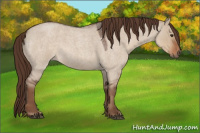Horse Color:Liver Red Dun Roan Rabicano 