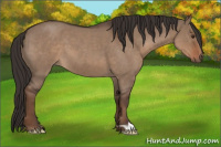 Horse Color:Liver Red Dun Roan 