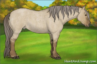 Horse Color:Chocolate Palomino Roan Dun Rabicano 