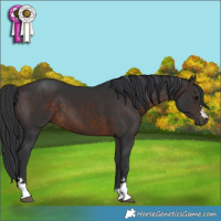 Horse Color:Brown 