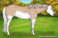 Horse Color:Silver Bay Roan Dun Splash Brindle 